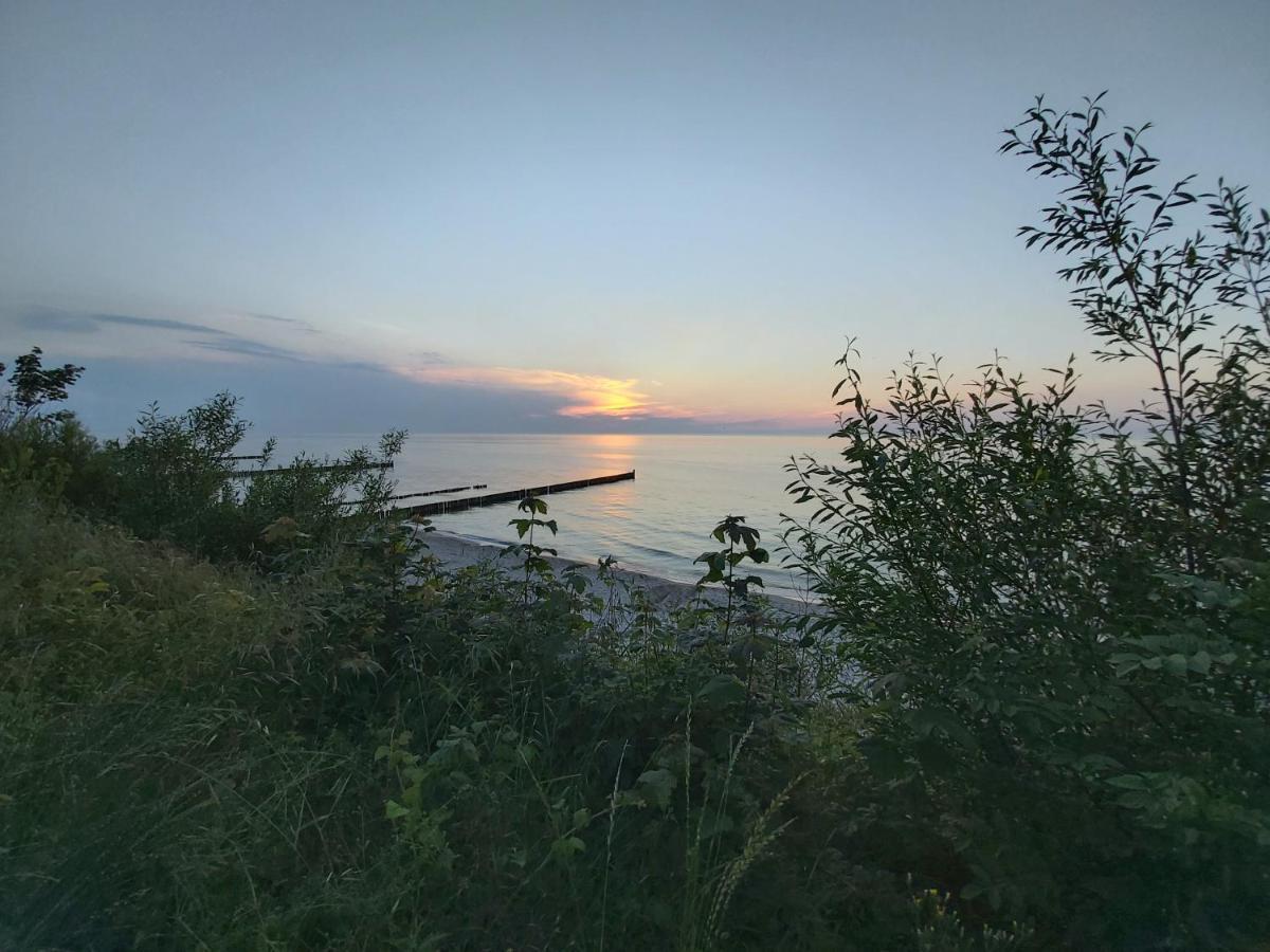 Willa Wieniotowo Apartamenty Przy Lesie I Plazy Ap Am Wald Und Strand Ustronie Morskie Exterior photo